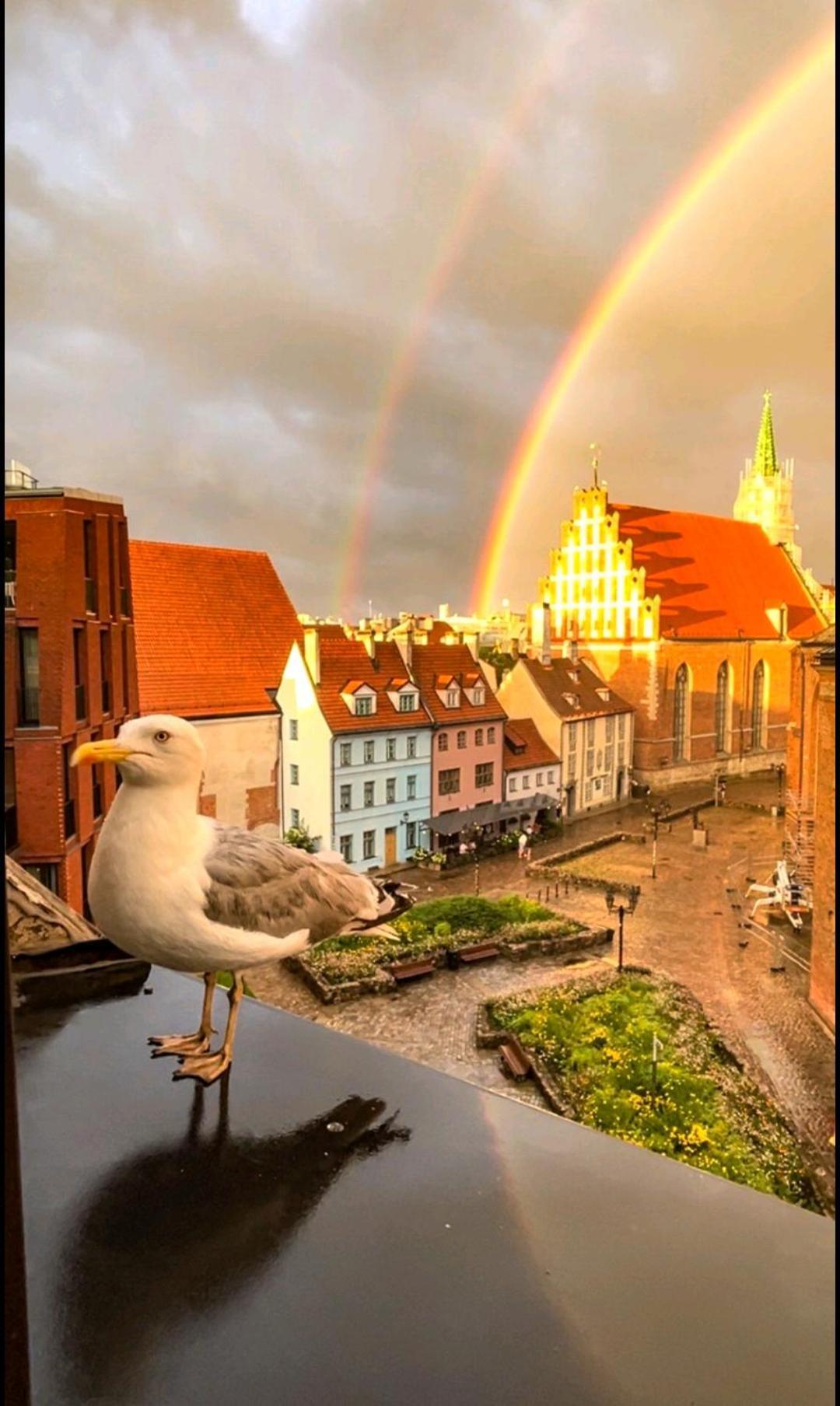 Old Town Retreat With Stunning Views 2 Bedroom Apartment Nearby The Church Of Saint Peter Riga Kültér fotó